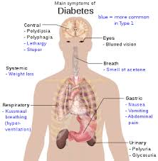 Things to Know about diabetes medicine